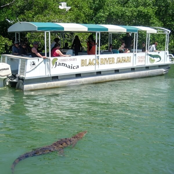 BLACK RIVER SAFARI - Image 2