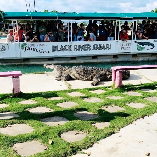 BLACK RIVER SAFARI - Image 3