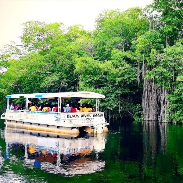 BLACK RIVER SAFARI