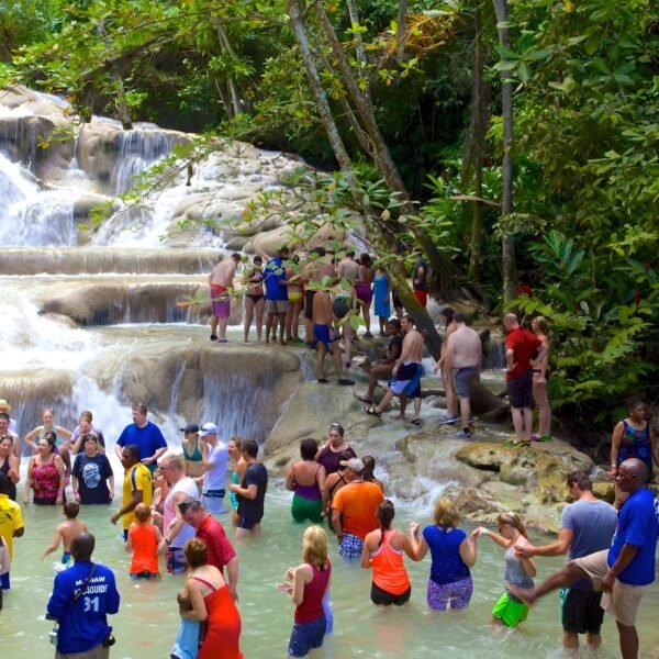 DUNN'S RIVER FALLS - Image 3