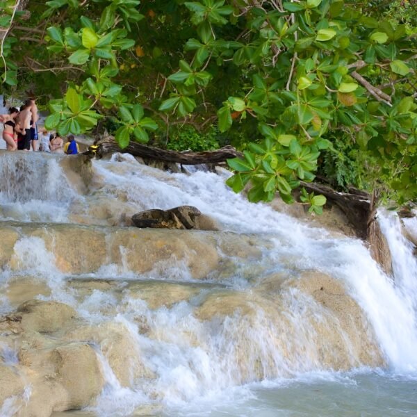DUNN'S RIVER FALLS