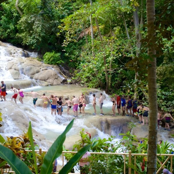 DUNN'S RIVER FALLS - Image 2