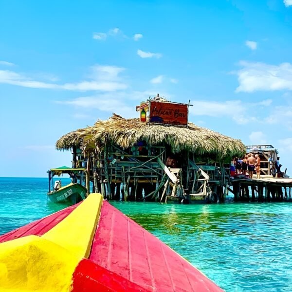 PELLICAN BAR - Image 2