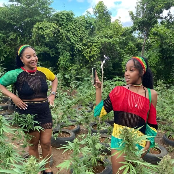 WEED FARM
