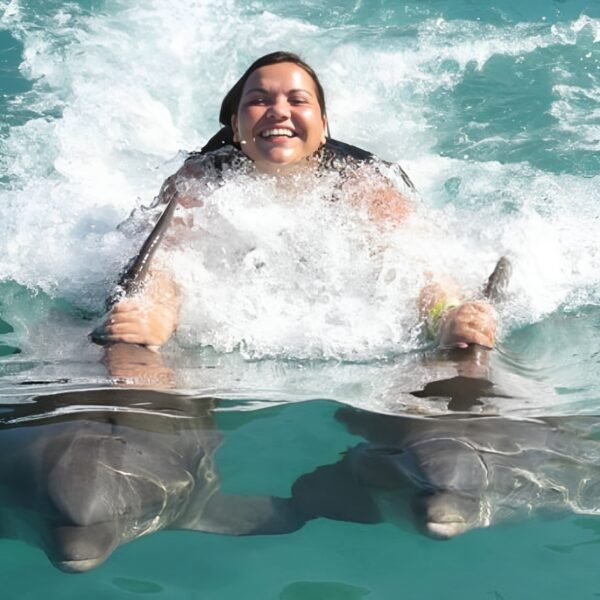 DOLPHIN COVE - Image 3