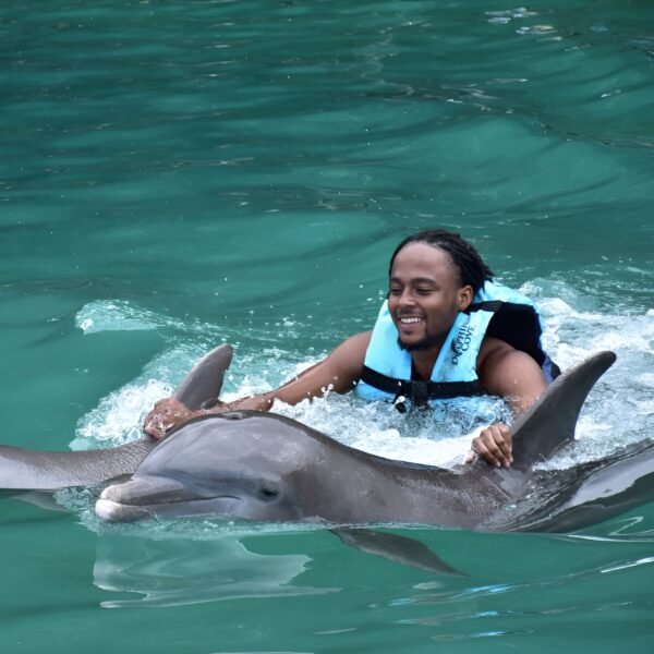 DOLPHIN COVE - Image 2