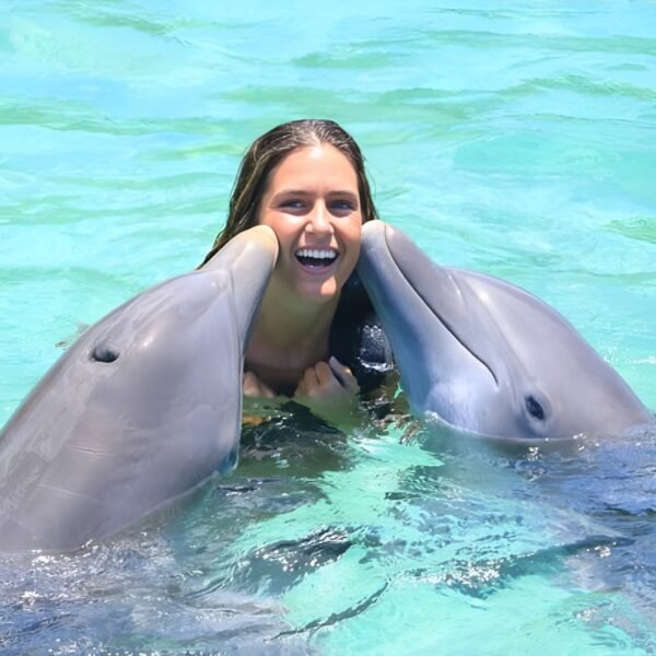 DOLPHIN COVE