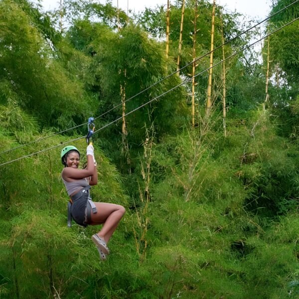ZIPLINING - Image 2